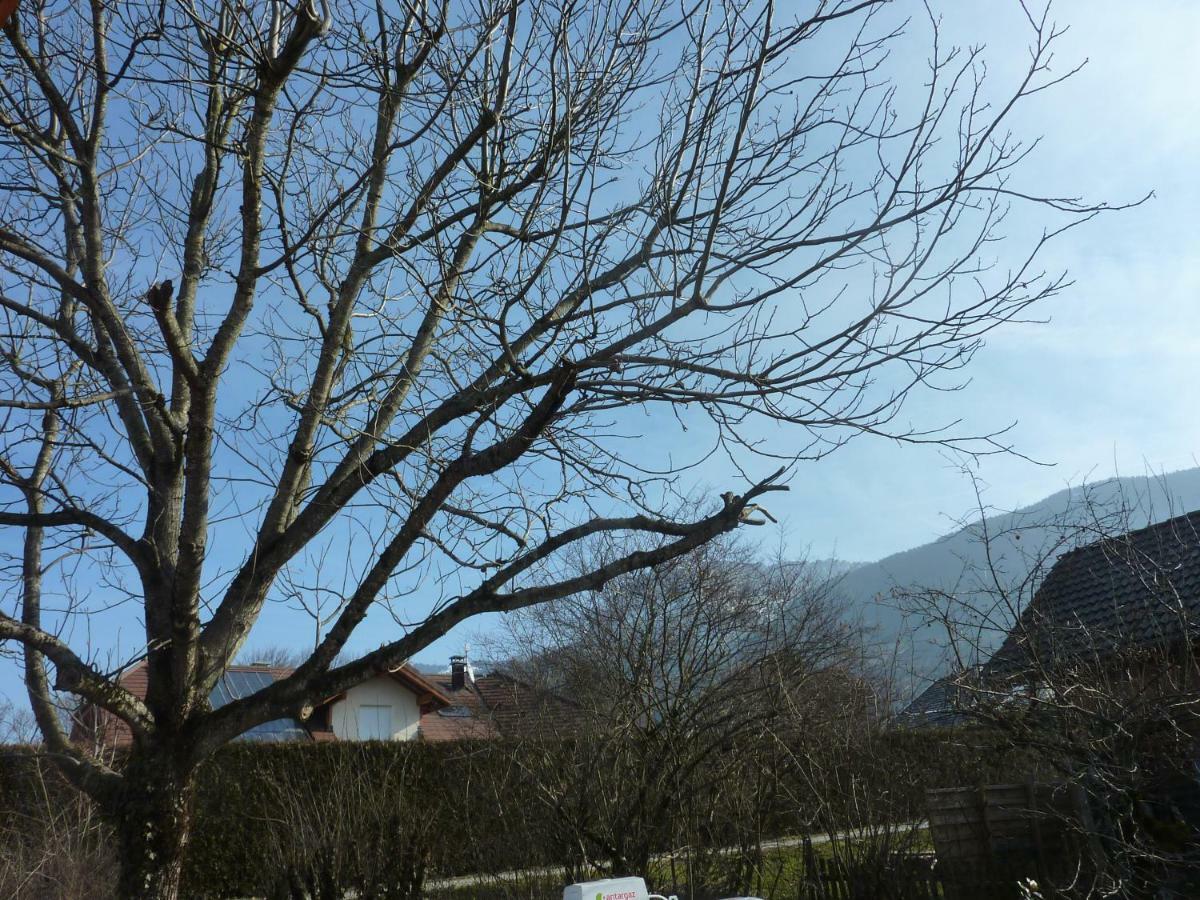 Studio 30 M2 Jardinet 10Minutes Annecy Naves-Parmelan Exterior photo